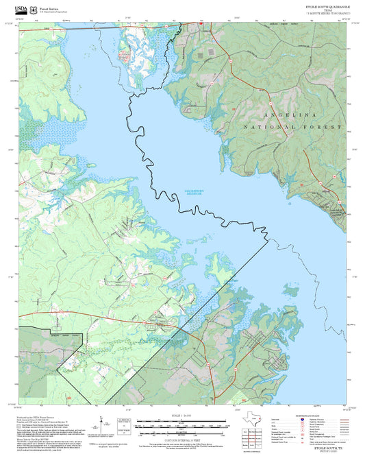 2025 Forest Service Topo Map of Etoile South Texas