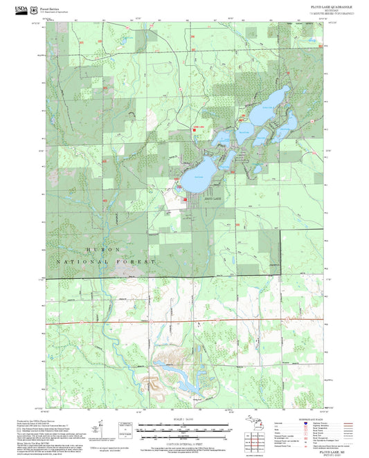 2025 Forest Service Topo Map of Floyd Lake Michigan