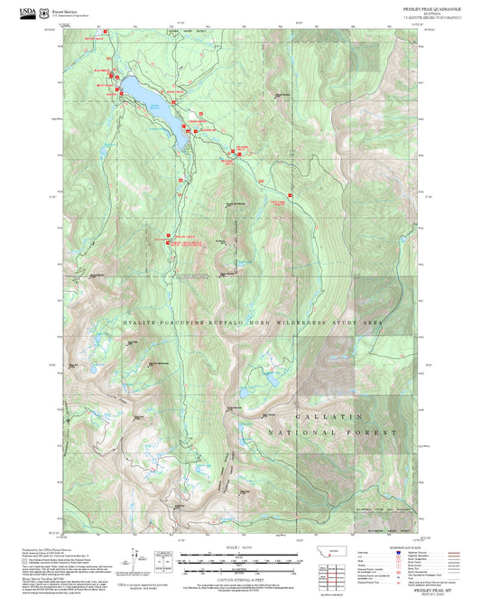 2025 Forest Service Topo Map of Fridley Peak Montana