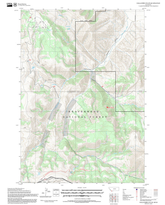 2025 Forest Service Topo Map of Gallagher Gulch Montana