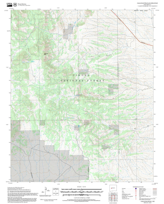 2025 Forest Service Topo Map of Gallinas Peak New Mexico