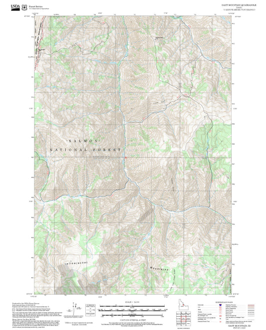 2025 Forest Service Topo Map of Gant Mountain Idaho