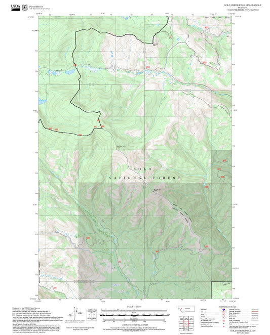 2025 Forest Service Topo Map of Gold Creek Peak Montana
