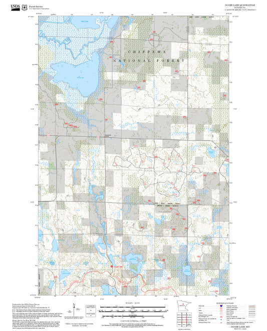 2025 Forest Service Topo Map of Goose Lake Minnesota