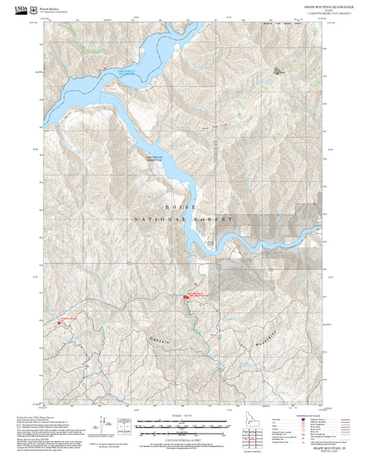 2025 Forest Service Topo Map of Grape Mountain Idaho