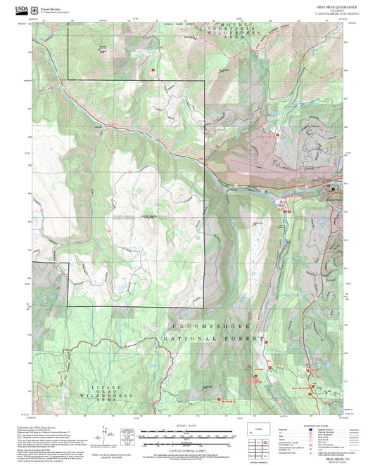 2025 Forest Service Topo Map of Gray Head Colorado