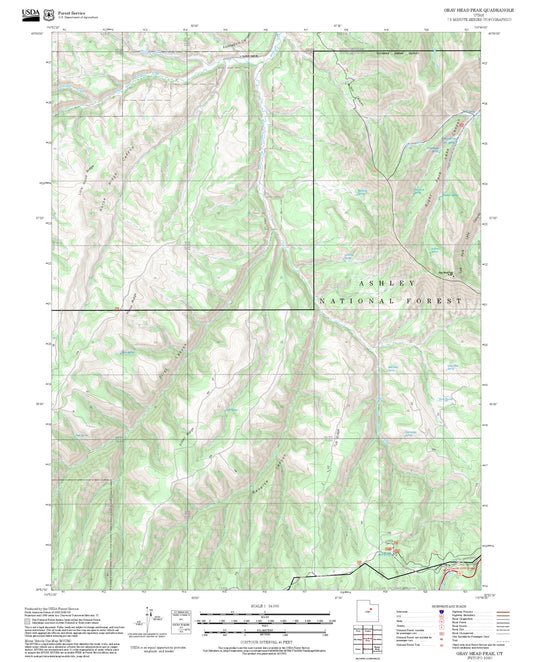 2025 Forest Service Topo Map of Gray Head Peak Utah