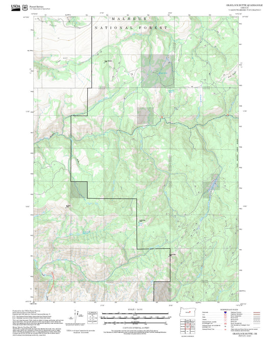 2025 Forest Service Topo Map of Graylock Butte Oregon