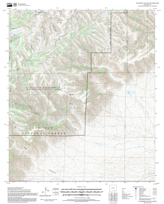 2025 Forest Service Topo Map of Gunsight Canyon New Mexico