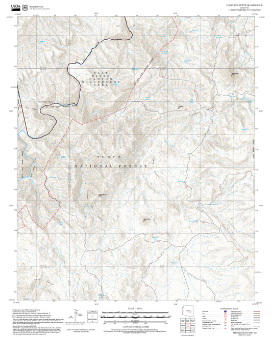 2025 Forest Service Topo Map of Haystack Butte Arizona
