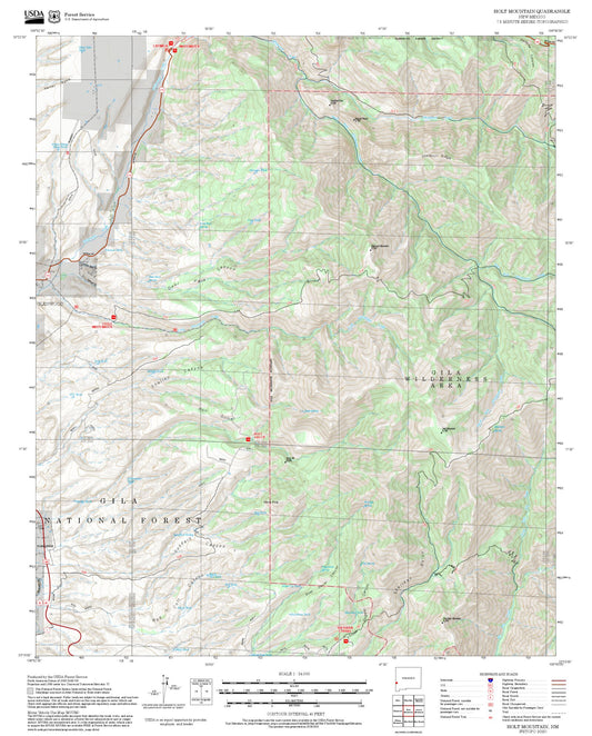 2025 Forest Service Topo Map of Holt Mountain New Mexico
