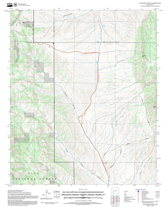 2025 Forest Service Topo Map of Iron Mountain New Mexico