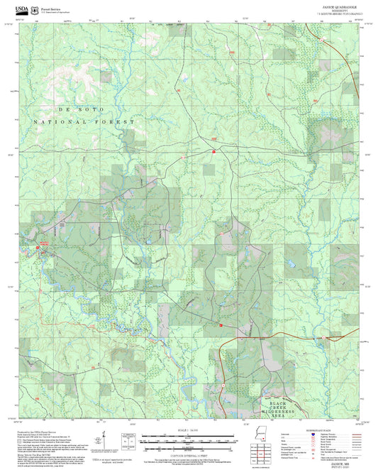 2025 Forest Service Topo Map of Janice Mississippi