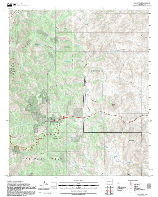 2025 Forest Service Topo Map of Kingston New Mexico