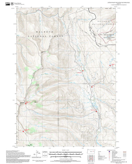 2025 Forest Service Topo Map of Little Baldy Mountain Oregon