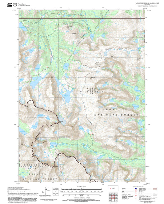 2025 Forest Service Topo Map of Lizard Head Peak Wyoming