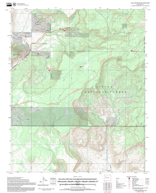 2025 Forest Service Topo Map of Lobo Springs New Mexico