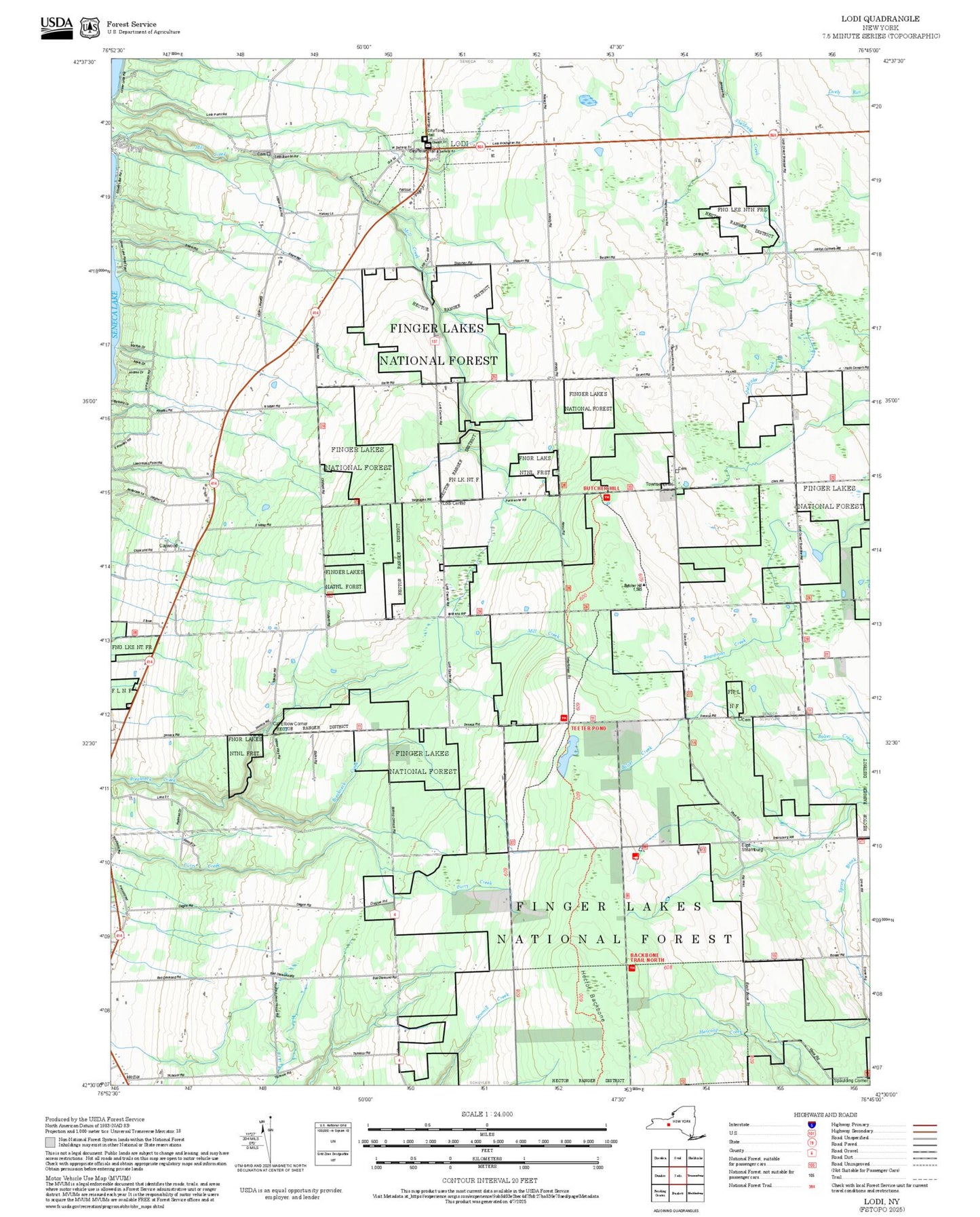 2025 Forest Service Topo Map of Lodi New York