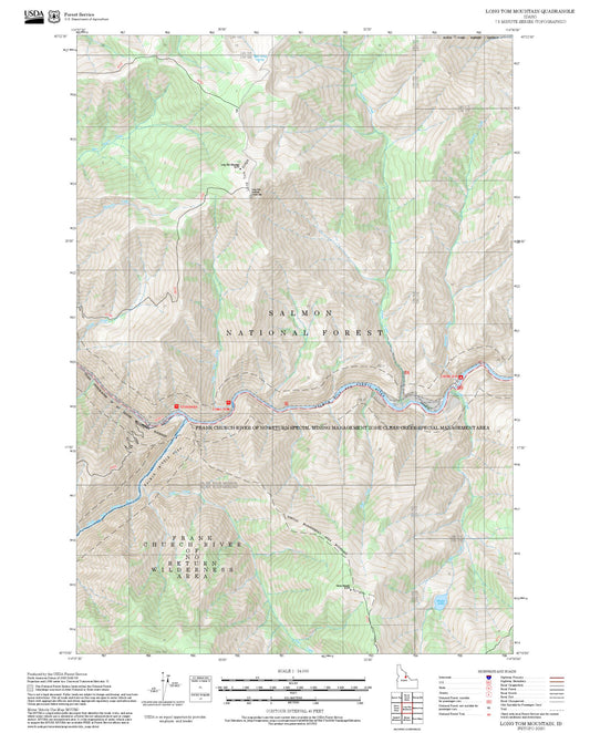 2025 Forest Service Topo Map of Long Tom Mountain Idaho