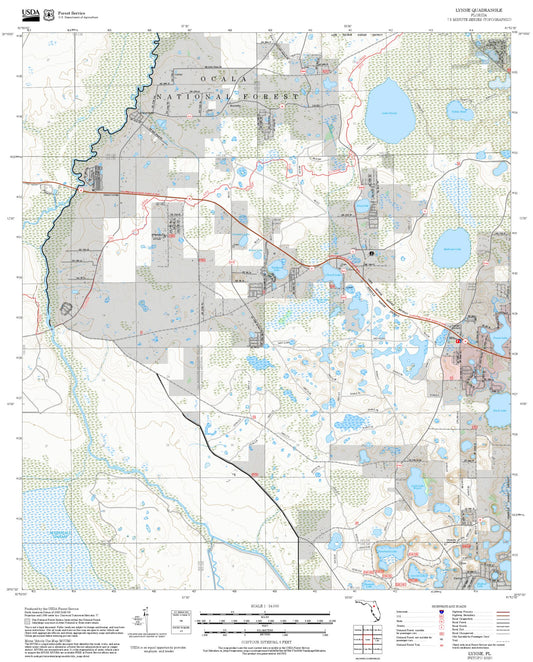 2025 Forest Service Topo Map of Lynne Florida