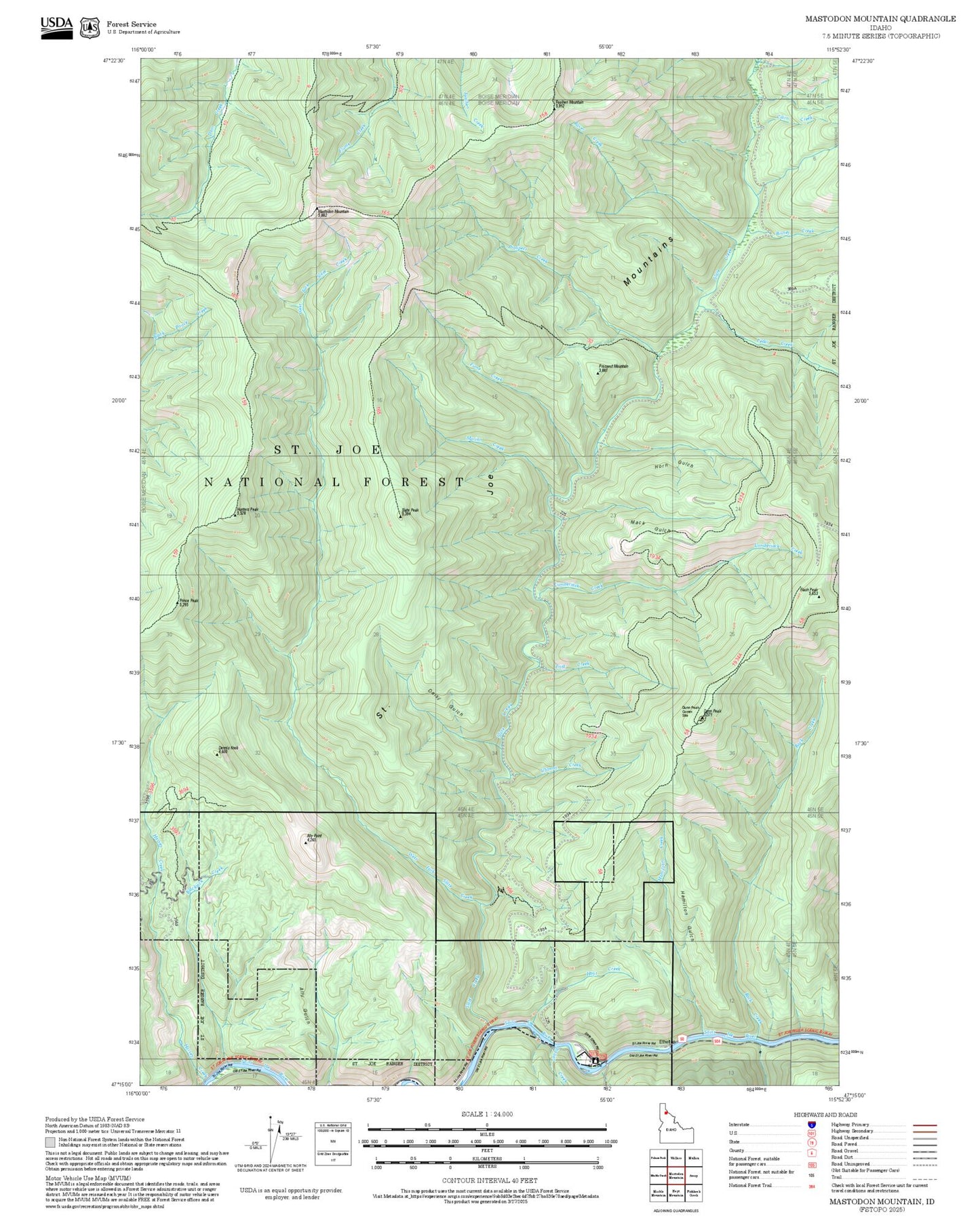 2025 Forest Service Topo Map of Mastodon Mountain Idaho