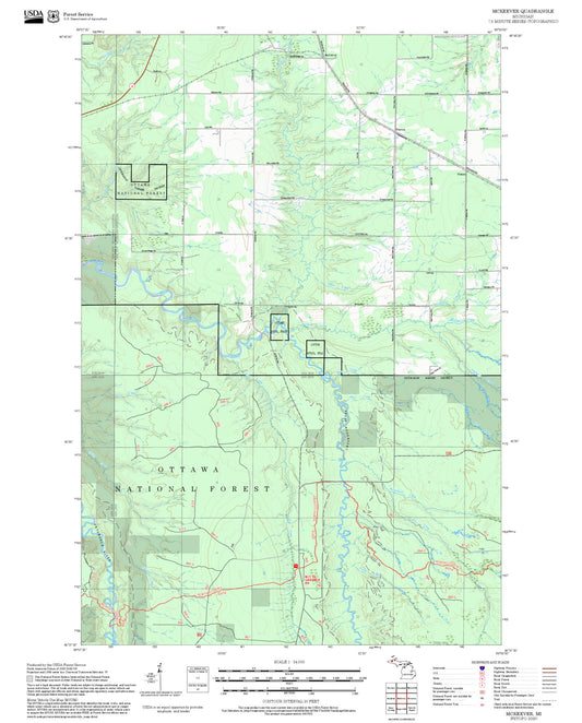 2025 Forest Service Topo Map of McKeever Michigan