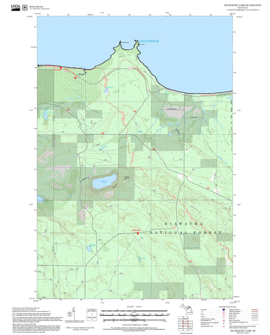 2025 Forest Service Topo Map of McNearney Lake Michigan