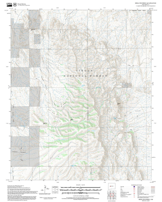 2025 Forest Service Topo Map of Mesa Cencerro New Mexico