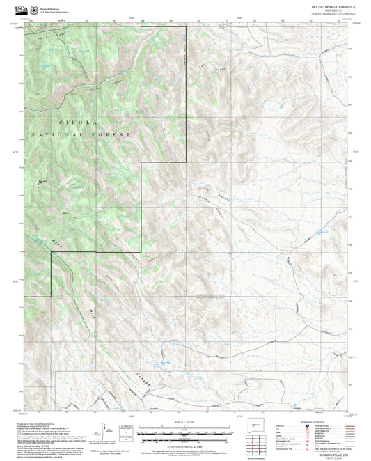 2025 Forest Service Topo Map of Molino Peak New Mexico