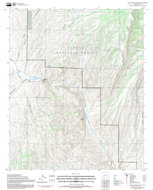 2025 Forest Service Topo Map of Montoya Butte New Mexico