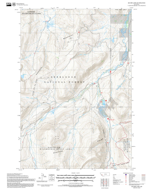 2025 Forest Service Topo Map of Moose Lake Montana