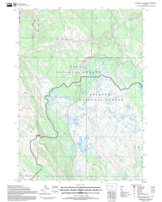 2025 Forest Service Topo Map of Mosquito Lake Wyoming