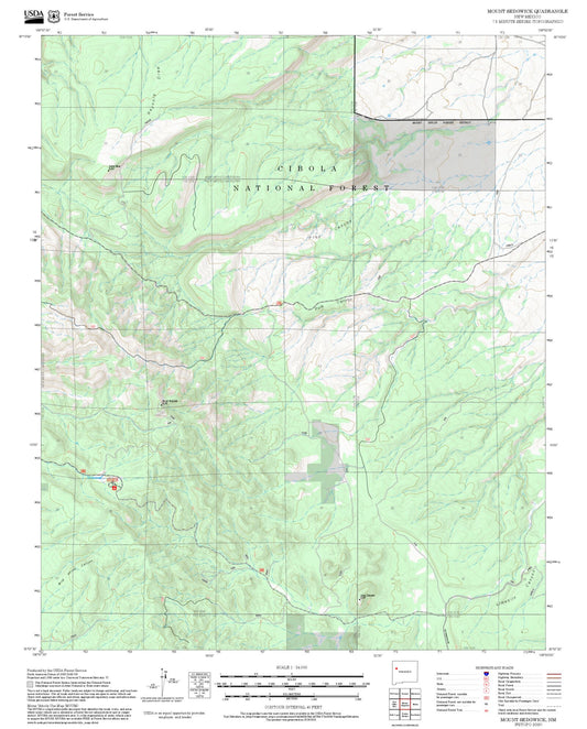 2025 Forest Service Topo Map of Mount Sedgwick New Mexico