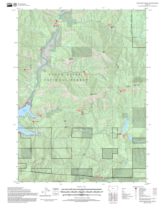 2025 Forest Service Topo Map of Mule Mountain Oregon