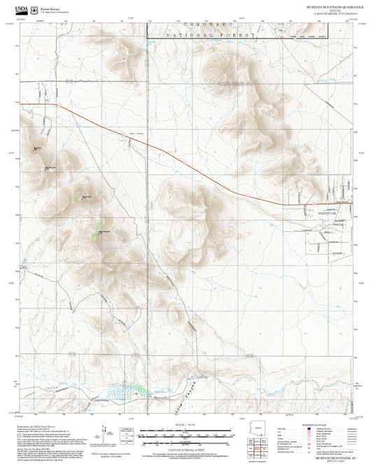 2025 Forest Service Topo Map of Mustang Mountains Arizona