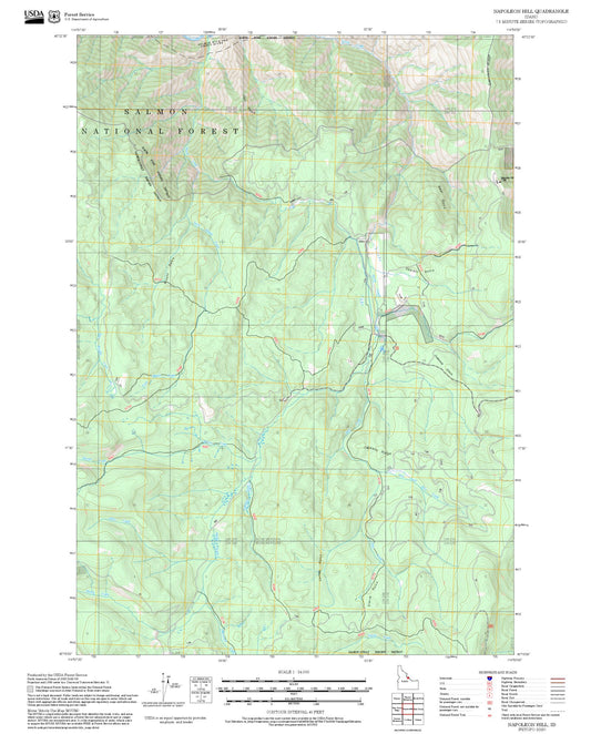 2025 Forest Service Topo Map of Napoleon Hill Idaho