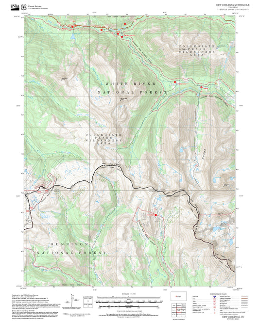 2025 Forest Service Topo Map of New York Peak Colorado
