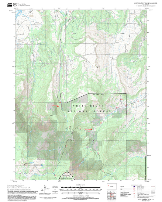 2025 Forest Service Topo Map of North Mamm Peak Colorado