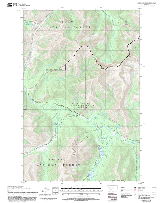 2025 Forest Service Topo Map of Olson Peak Montana