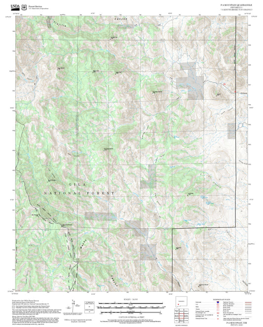 2025 Forest Service Topo Map of P A Mountain New Mexico
