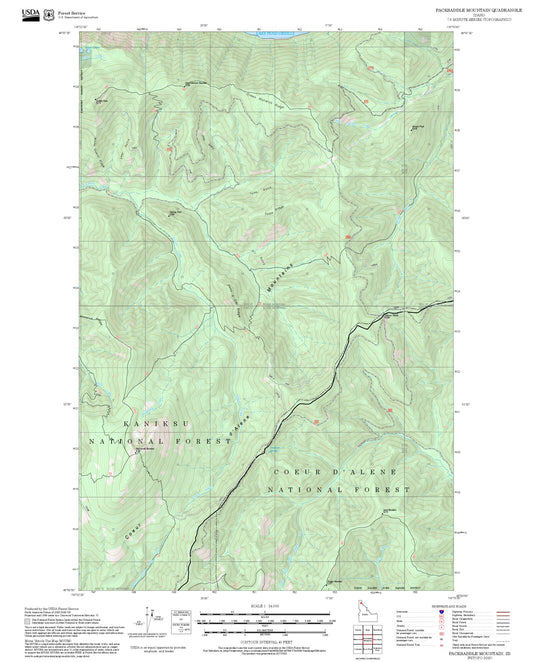 2025 Forest Service Topo Map of Packsaddle Mountain Idaho