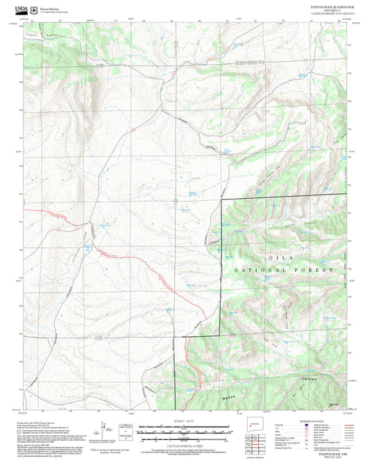 2025 Forest Service Topo Map of Paddys Hole New Mexico