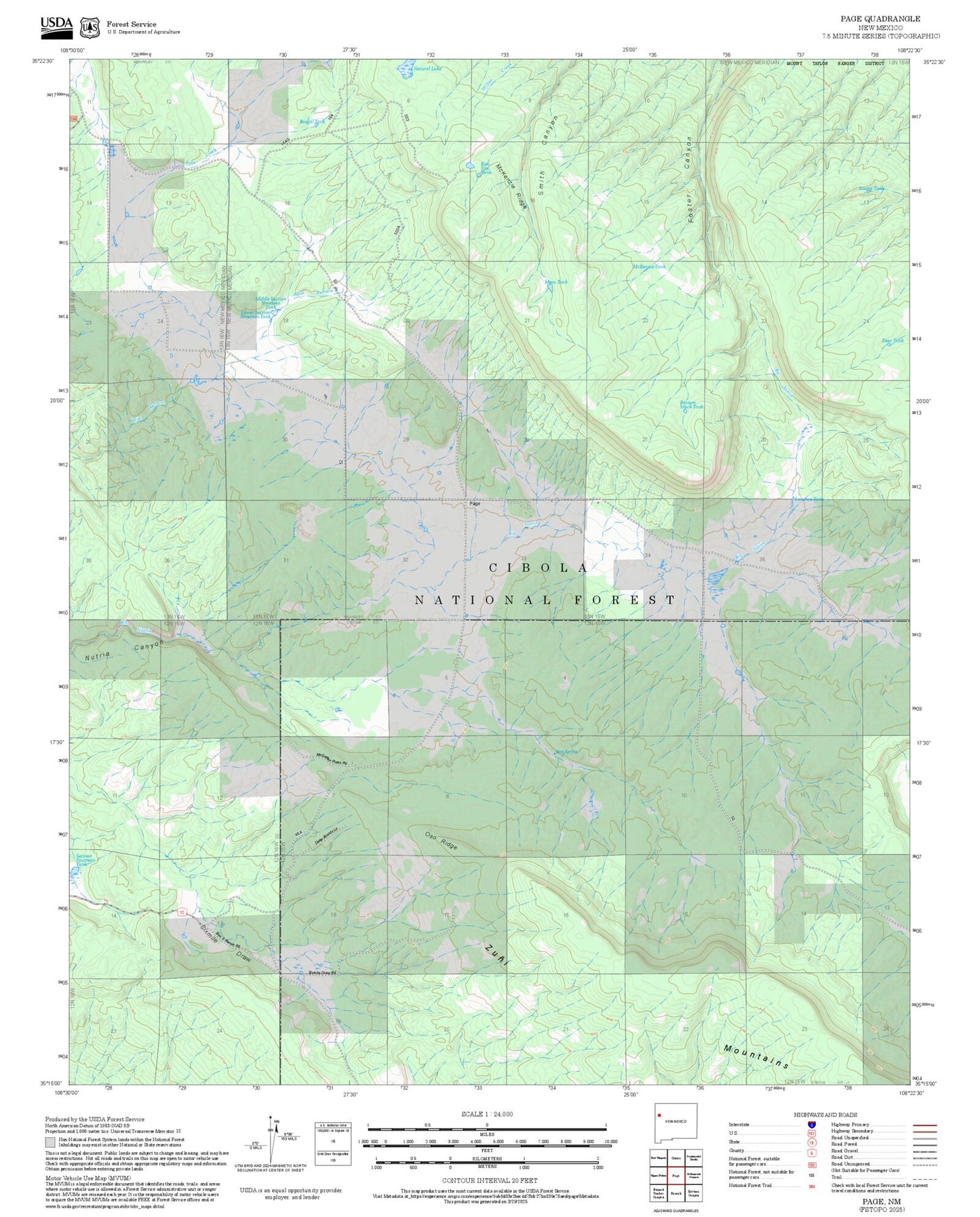2025 Forest Service Topo Map of Page New Mexico