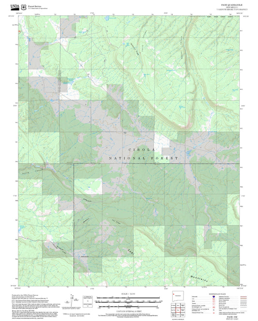 2025 Forest Service Topo Map of Page New Mexico