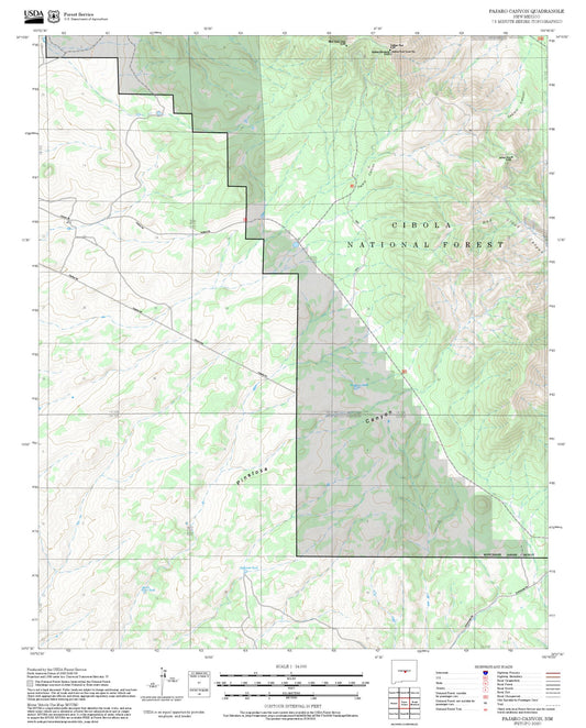 2025 Forest Service Topo Map of Pajaro Canyon New Mexico