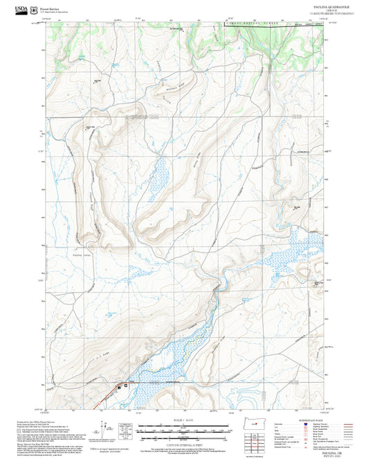 2025 Forest Service Topo Map of Paulina Oregon
