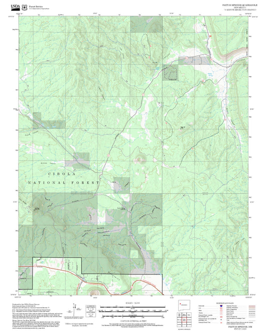 2025 Forest Service Topo Map of Paxton Springs New Mexico