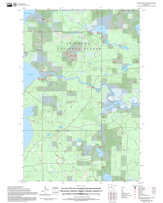2025 Forest Service Topo Map of Pennington Minnesota