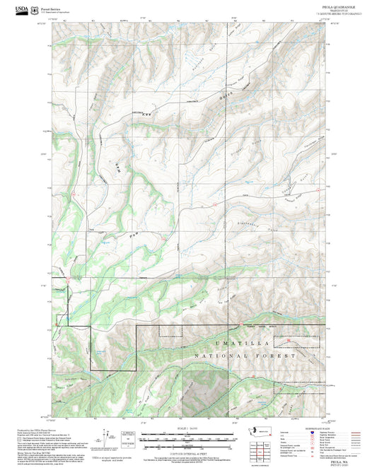 2025 Forest Service Topo Map of Peola Washington