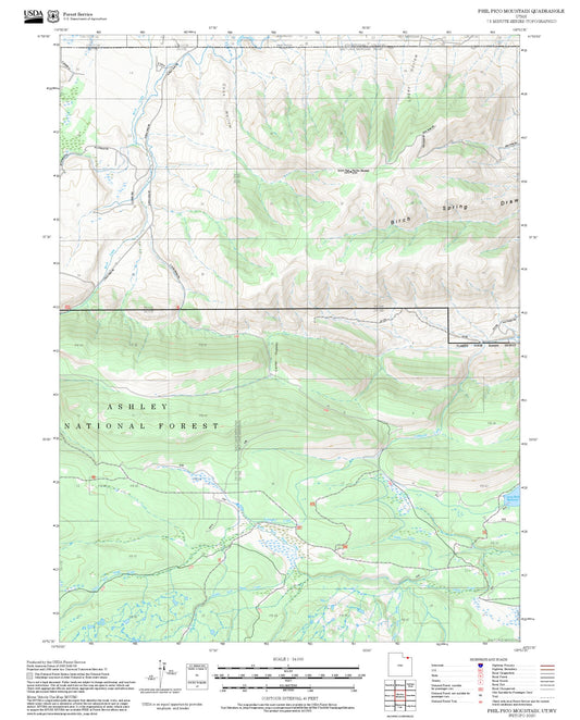 2025 Forest Service Topo Map of Phil Pico Mountain Utah